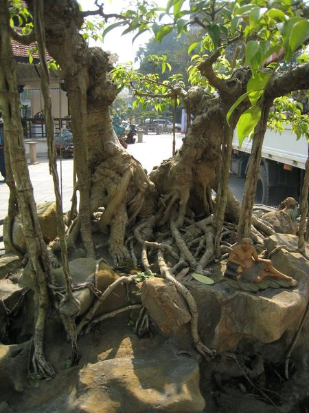 kleinVietnam_044.jpg