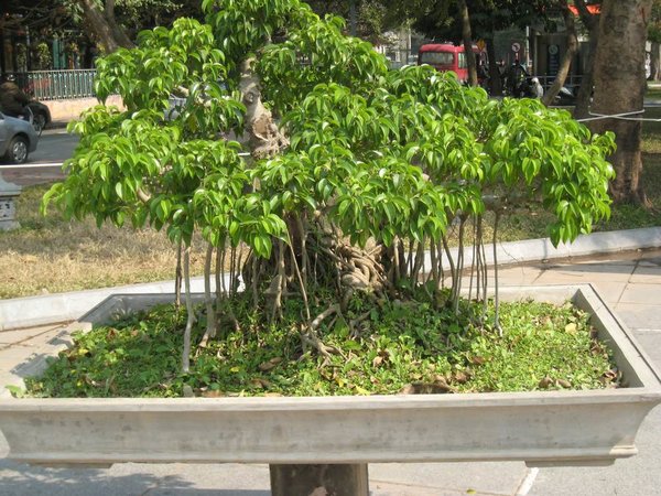 kleinVietnam_049.jpg