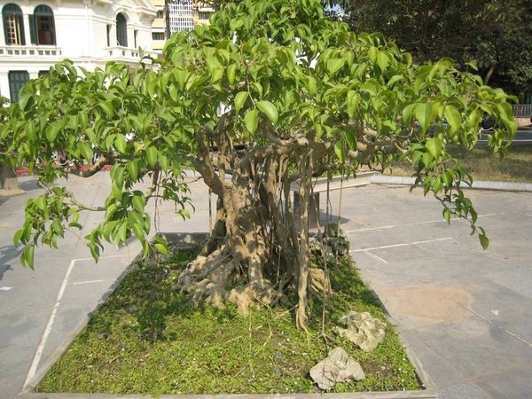 kleinVietnam_051.jpg