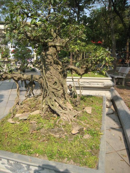 kleinVietnam_052.jpg