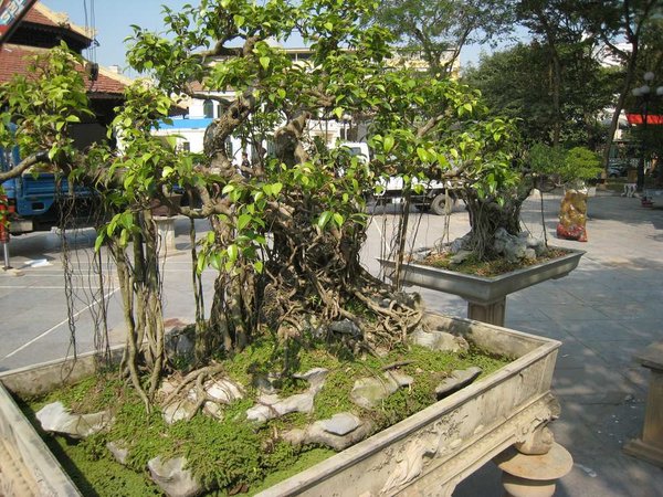 kleinVietnam_053.jpg