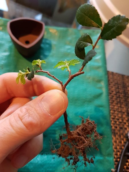 20170223_171355.jpg