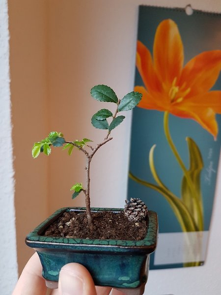 20170223_172404.jpg