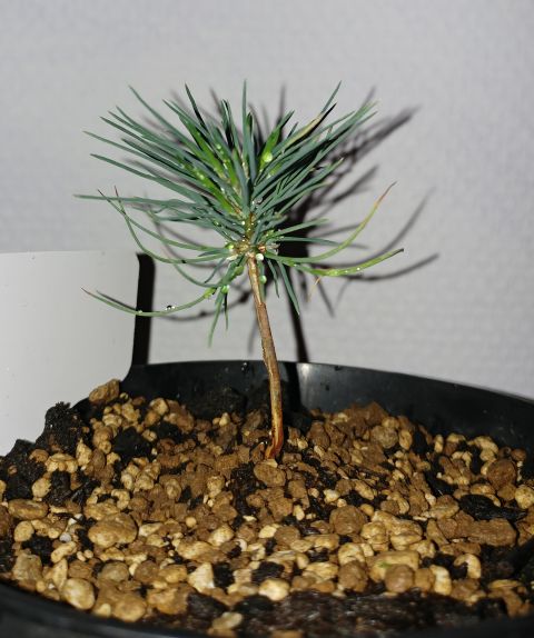 20170226_184535.jpg