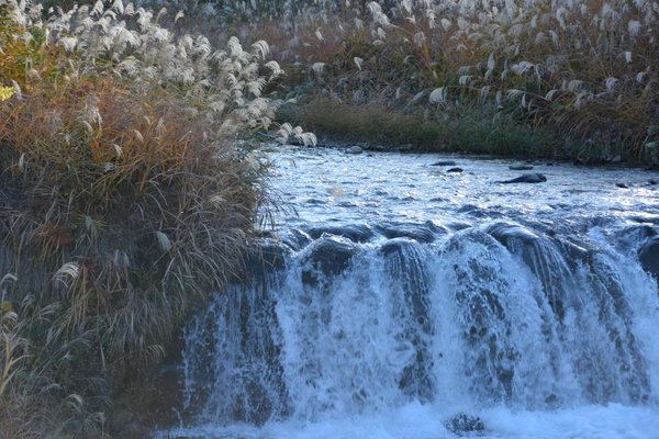 DSC_6839.JPG