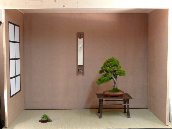 P1180494k.JPG