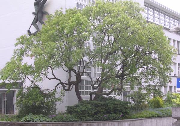 Dscn2781_1.jpg