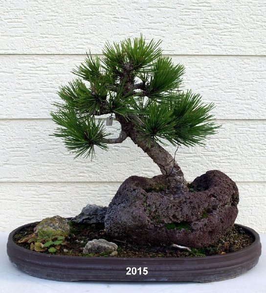 M28z Kiefer 2016.jpg