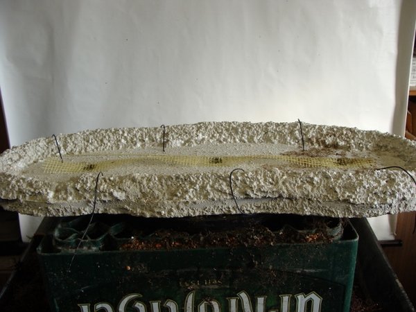 DSC00760 (640x480).jpg