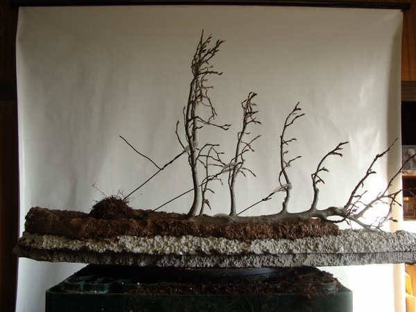 DSC00763 (640x480).jpg