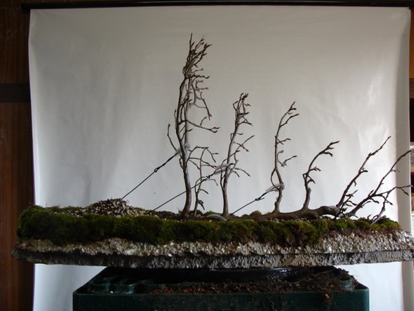 DSC00764 (640x480).jpg