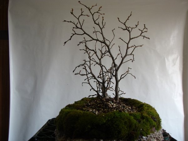 DSC00767 (640x480).jpg