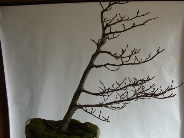 DSC00758 (640x480).jpg