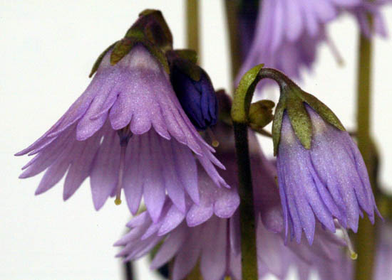 2011_Beisteller-006.jpg