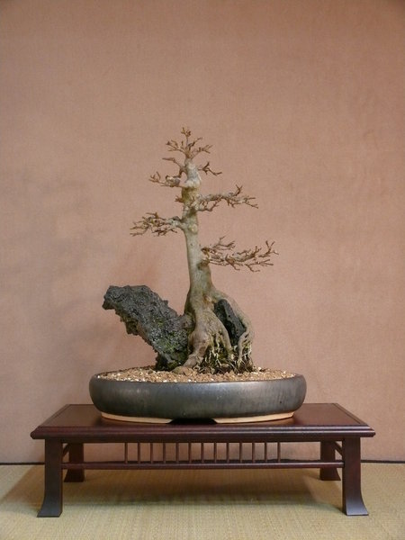 P1180686k.JPG