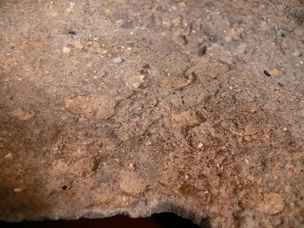 P1180617k.JPG