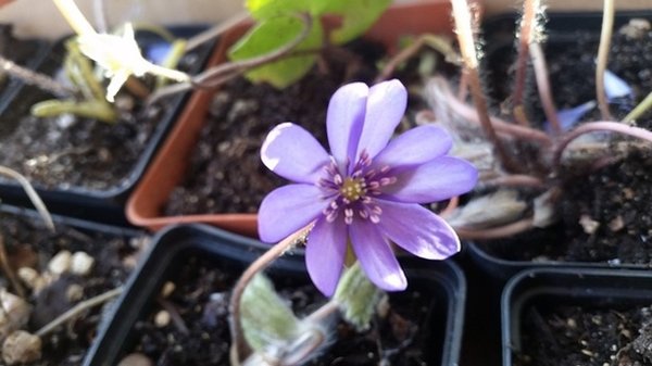 20170322_164242.jpg