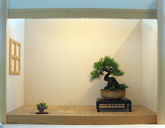 2015_Bonsai_Burghausen-095.jpg
