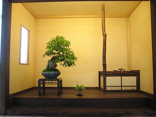 2015_Bonsai_Burghausen-097.jpg