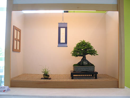 2015_Bonsai_Burghausen-099.jpg