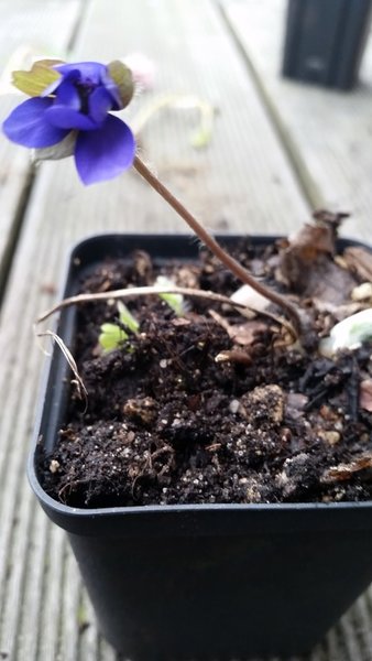 20170323_075851.jpg