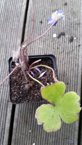 20170323_075944.jpg