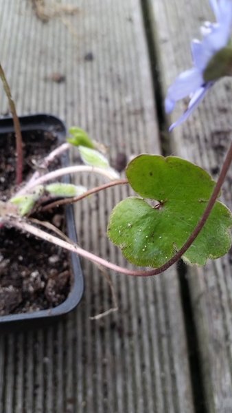 20170323_080126.jpg