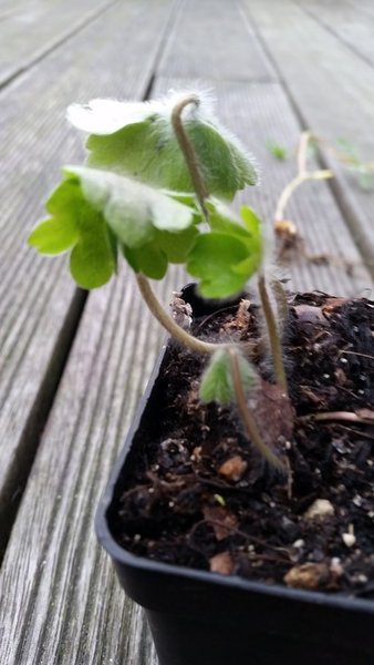 20170323_080202.jpg
