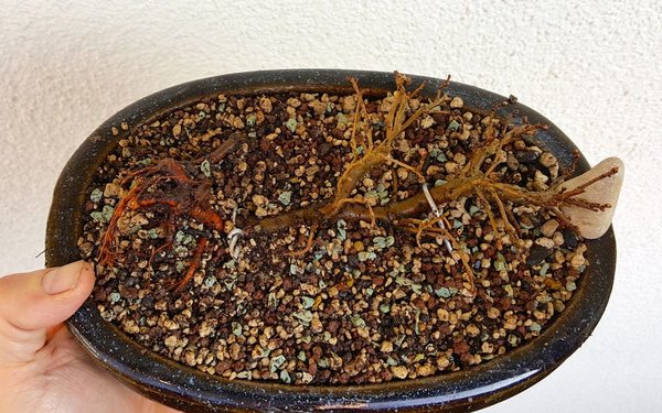 20170323_090517.jpg