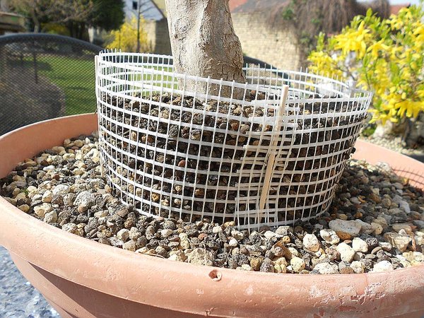 Mit blanker Körnung 4-6 mm aufgefüllt, kräftig gießen und in die Sonne gestellt, fertig.