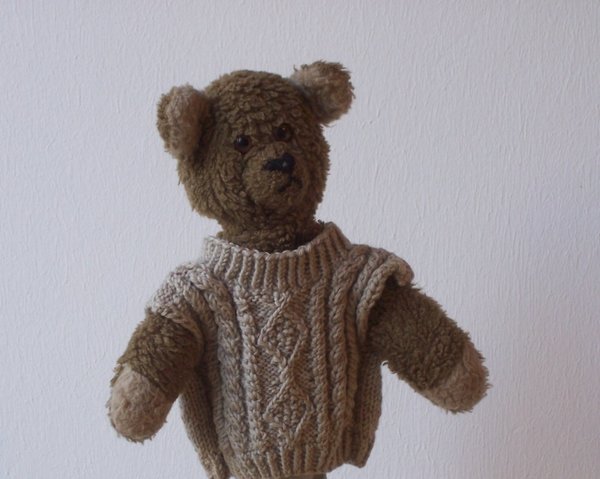 Teddy.jpg