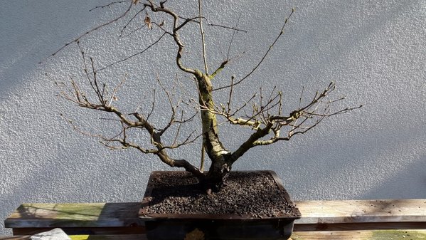 20170326_153808 (Andere).jpg