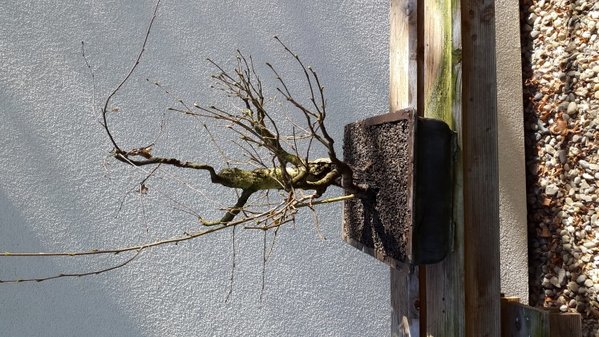 20170326_153852 (Andere).jpg