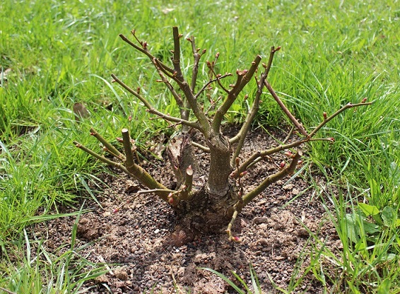 Frühjahr 2013