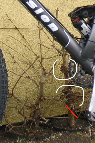 2006