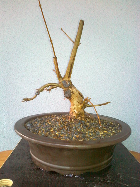 2012-03-23 -Camp10.jpg