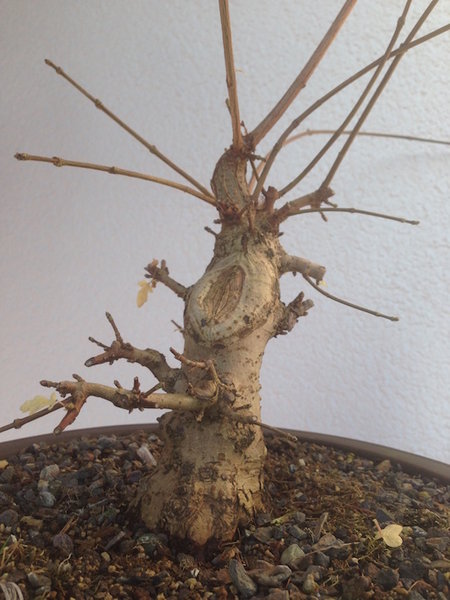 2014-11-08 -6.jpg