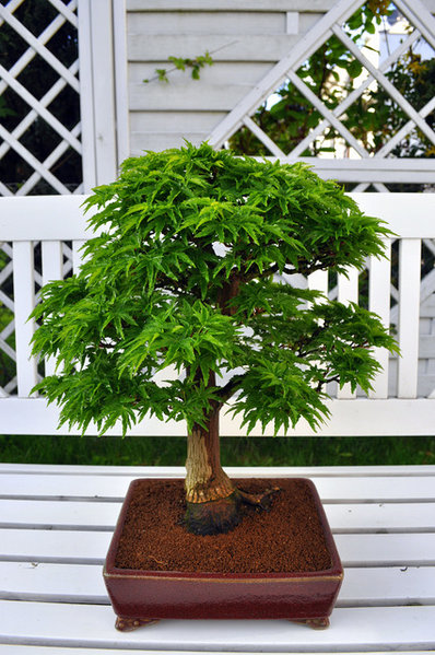 DSC_0320.jpeg