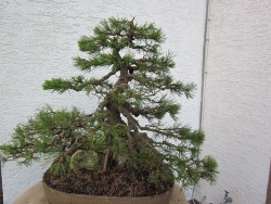 IMG_3500.jpg