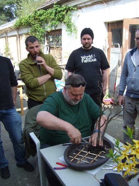 DSCF4397.JPG