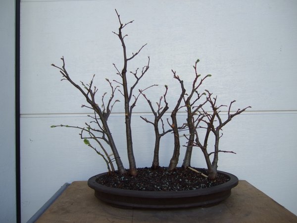 DSCF4402.JPG