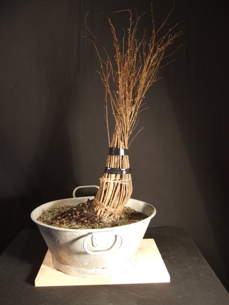 DSCF4430.JPG