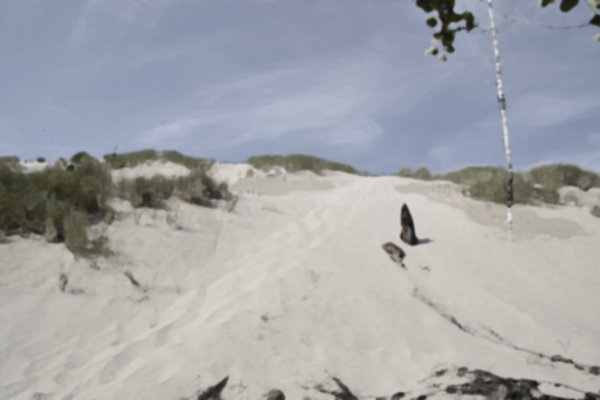 _DSC0031.jpg