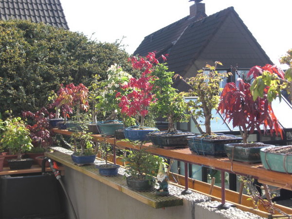CIMG0895.JPG