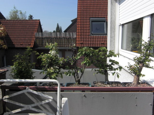 CIMG0902.JPG