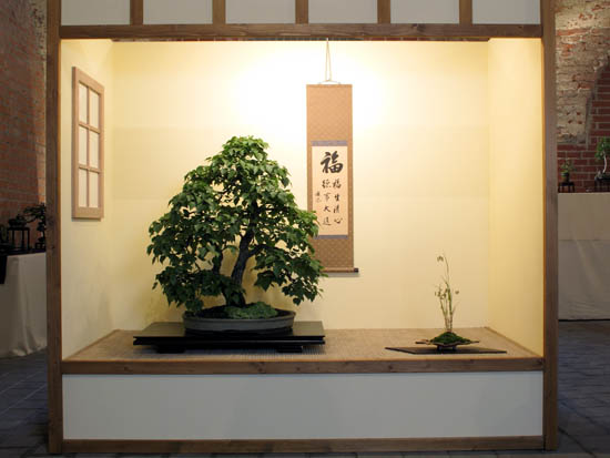 2013_Bonsai_Scheyern-002.jpg