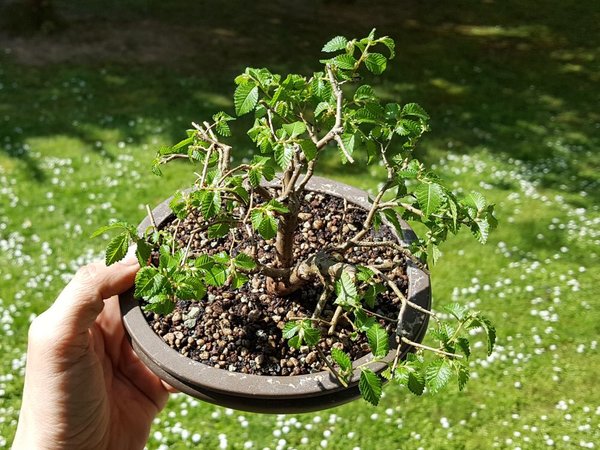20170421_104739.jpg