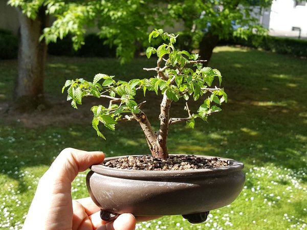 20170421_104753.jpg