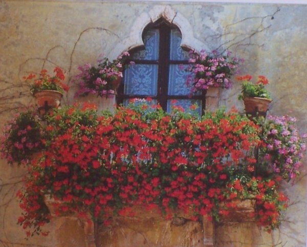 blühender Balkon.jpg