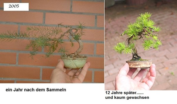 2005 - Kopie (2).JPG
